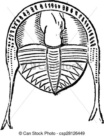 359x470 Trilobite, Vintage Engraving Trilobite, Vintage Engraved