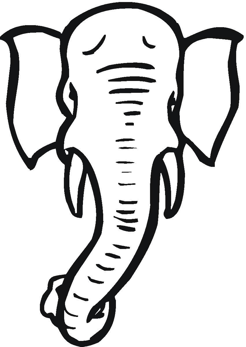 851x1200 Collection Of Free Elephants Clipart Front Amusement Clipart
