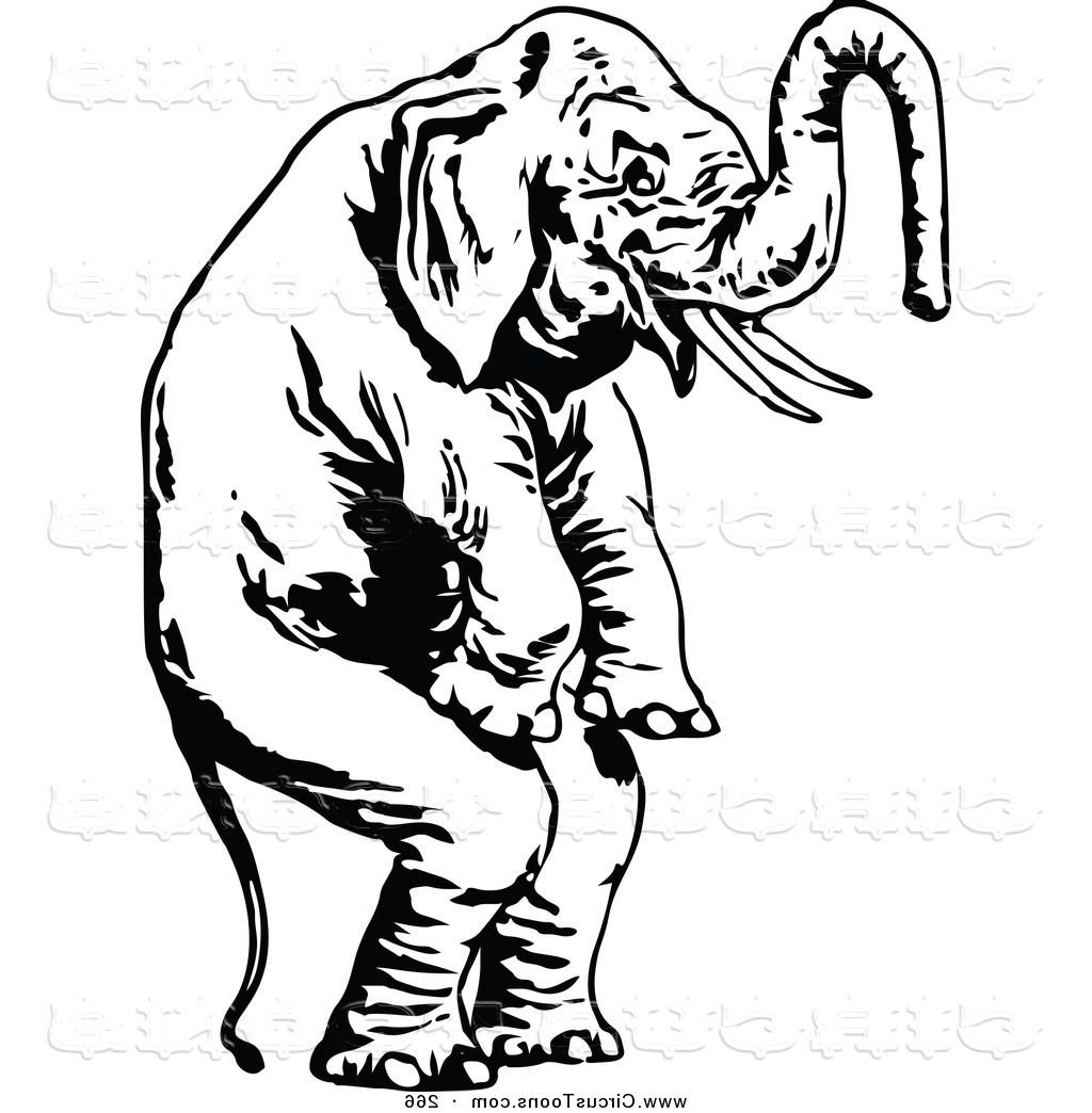 1024x1044 Elephant On Vakanzi Clipart