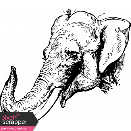 456x456 Vintage African Elephant Template Graphic