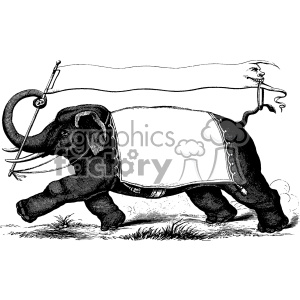 300x300 Vintage Circus Elephant Carrying Banners Vector Vintage