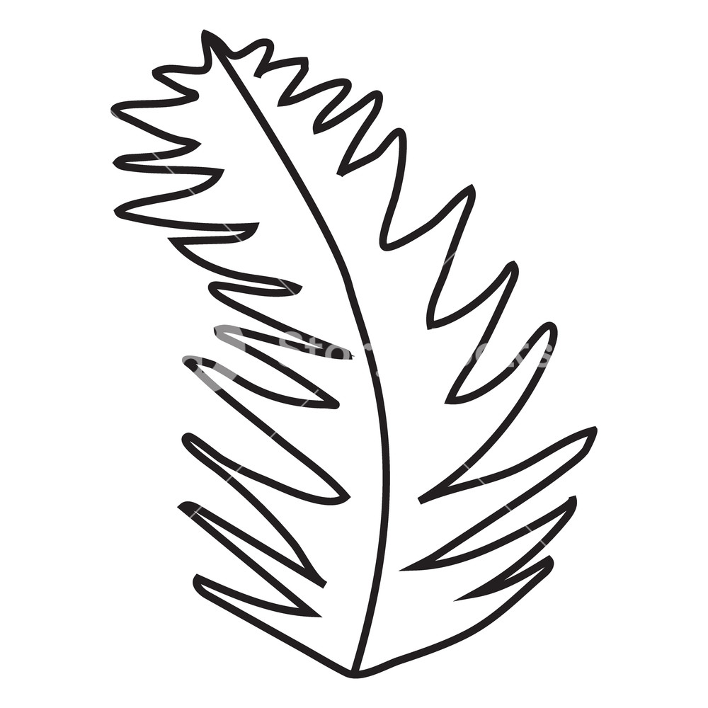 1000x1000 Hand Drawn Vintage Floral Element, Decorative Plant For Design