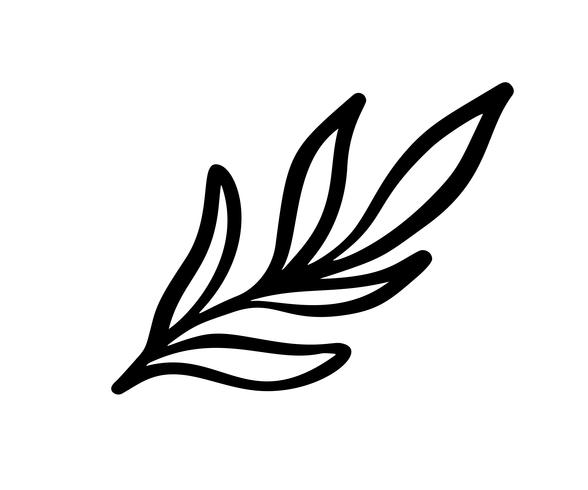 588x490 Hand Sketched Vector Vintage Floral Elements