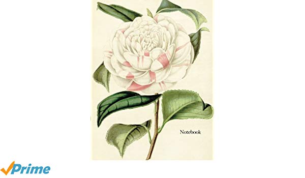 600x350 Notebook Vintage Floral Sketchbook Pages Of Blank