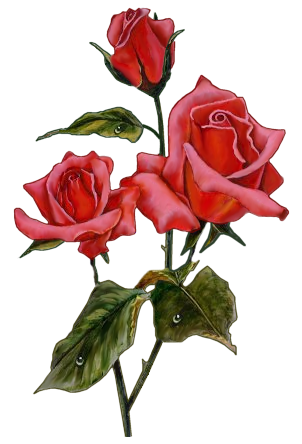 302x444 Clip Art Simple Flower Drawing, Flowers