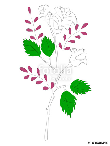 375x500 Rose, A Fantastic Flower, A Contour Drawing, A Vintage Vector