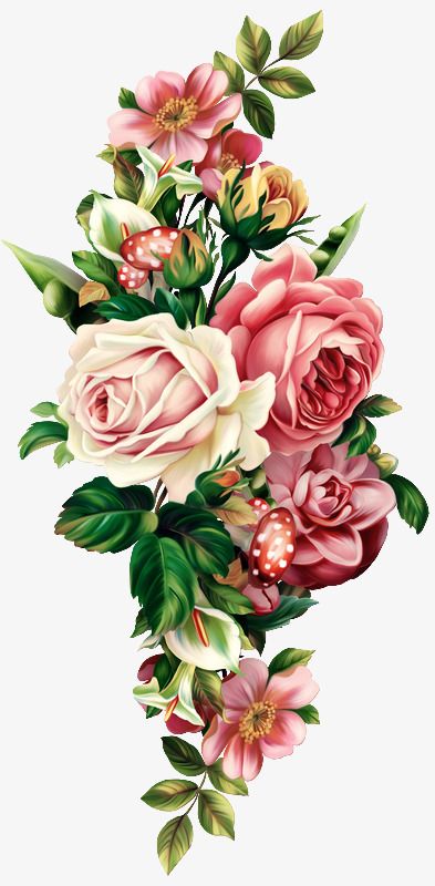 393x800 Vintage Floral Botanical Pull Free, Retro, Flowers, Plant Png
