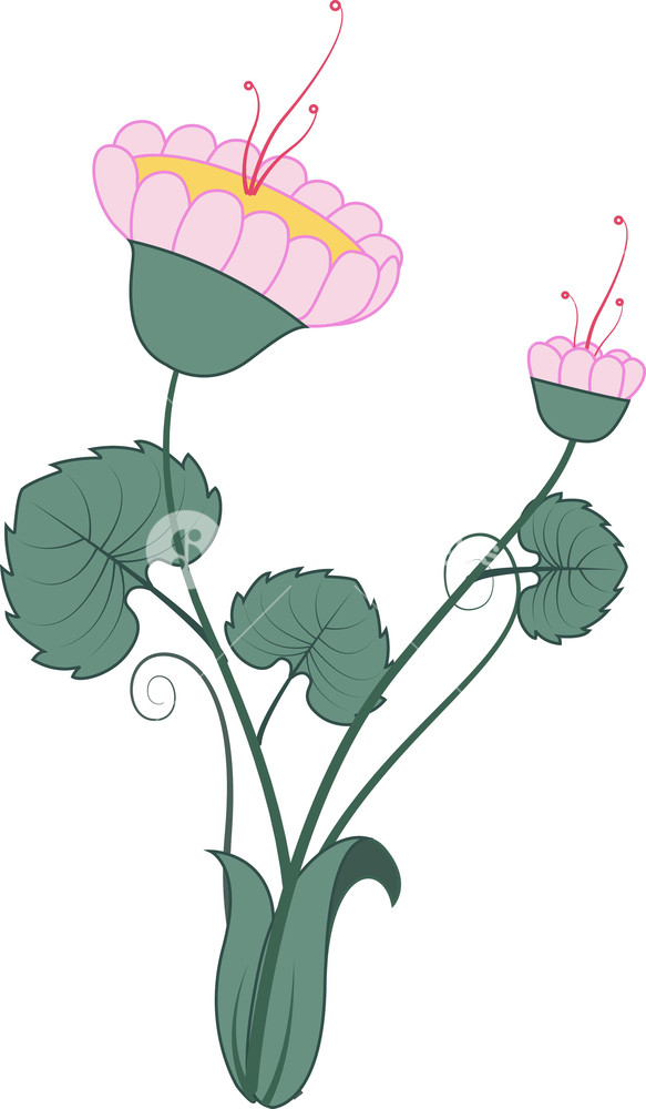 583x1000 Vintage Flower Design Royalty Free Stock Image