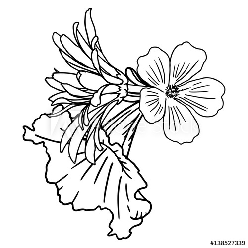 500x500 Flowers Bouquet Of Different Hand Drawn Flowers Vintage Black