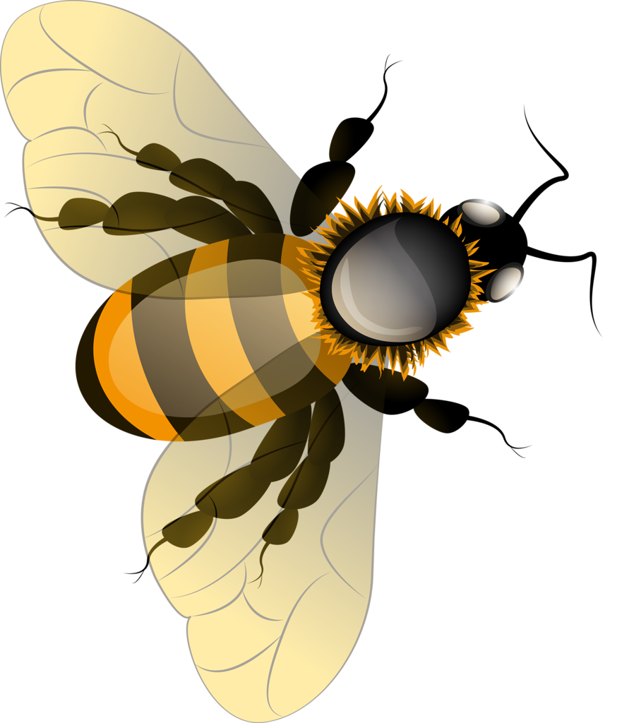 874x1024 Cliparts For Free Download Beehive Clipart Vintage And Use