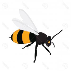 300x300 Honey Bee Vintage Vector Drawing Hand Drawn Isolated Insect Ske