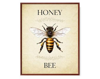 340x270 Honey Bee Art Etsy