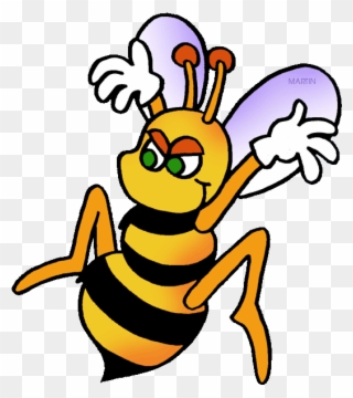 320x360 Western Honey Bee Insect Drawing Line Art