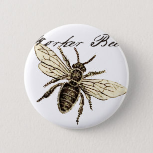 307x307 Bee Drawing Badges Pins Zazzle Au