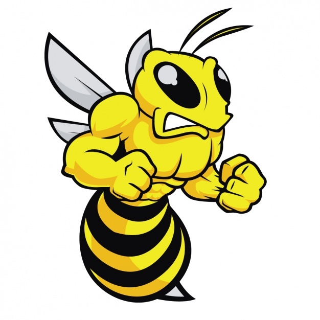 626x626 Bee Vectors, Photos And Free Download