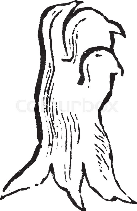 519x800 Gambe Is An Obsolete French Word, Vintage Line Drawing