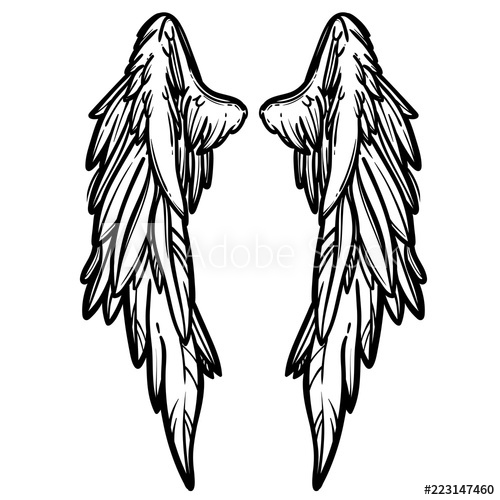 500x500 Line Art Illustration Of Angel Wings Hand Drawn Vector Card