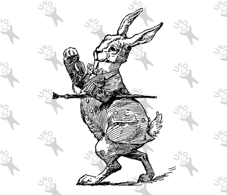 794x684 Vintage Alice In Wonderland White Rabbit Instant Download Etsy