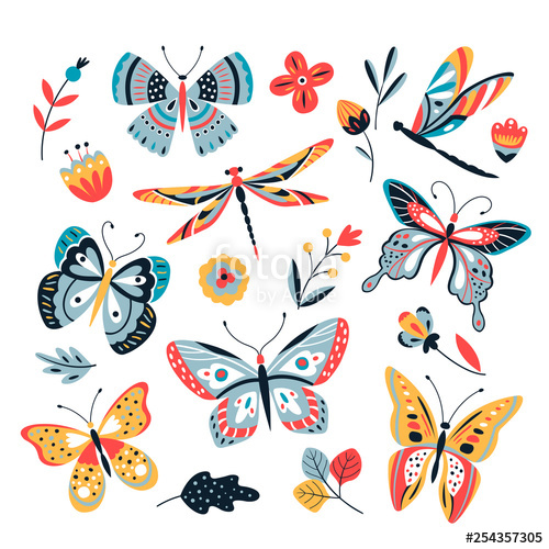 500x500 Color Drawing Butterfly Butterflies Moth And Flowers Vintage