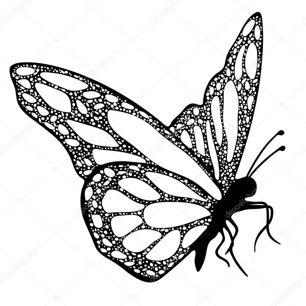 1024x1024 Inspiring Pictures Of Butterflies To Print Butterfly Monochrome