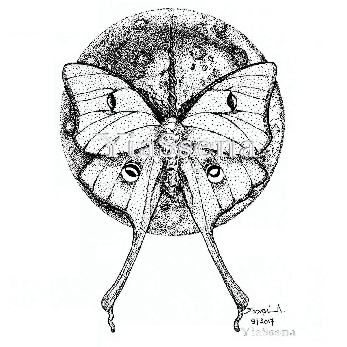 1200x1200 Moth Drawing Free Download