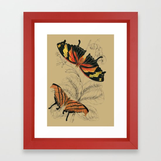550x550 Scientific Antique Butterflies Entomology Drawing Framed Art Print