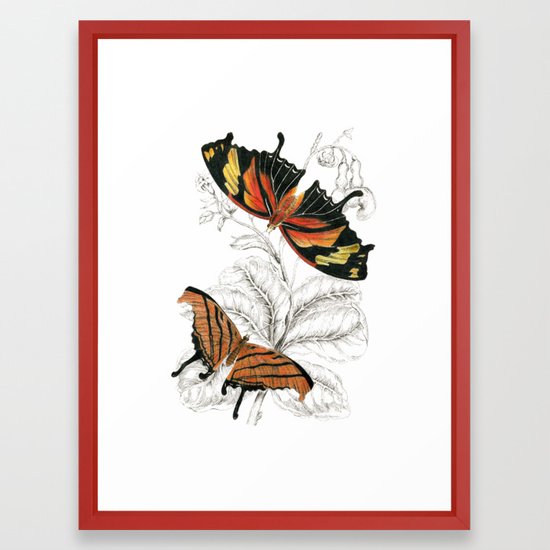 550x550 Scientific Colorful Butterfly Entomology Drawing Framed Art Print