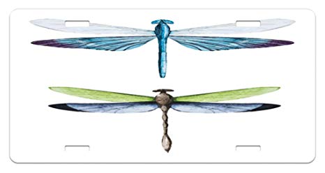 466x248 Lunarable Dragonfly License Plate, Pair Of Dragonflies