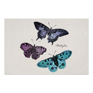 307x307 Butterfly Drawing Art Wall