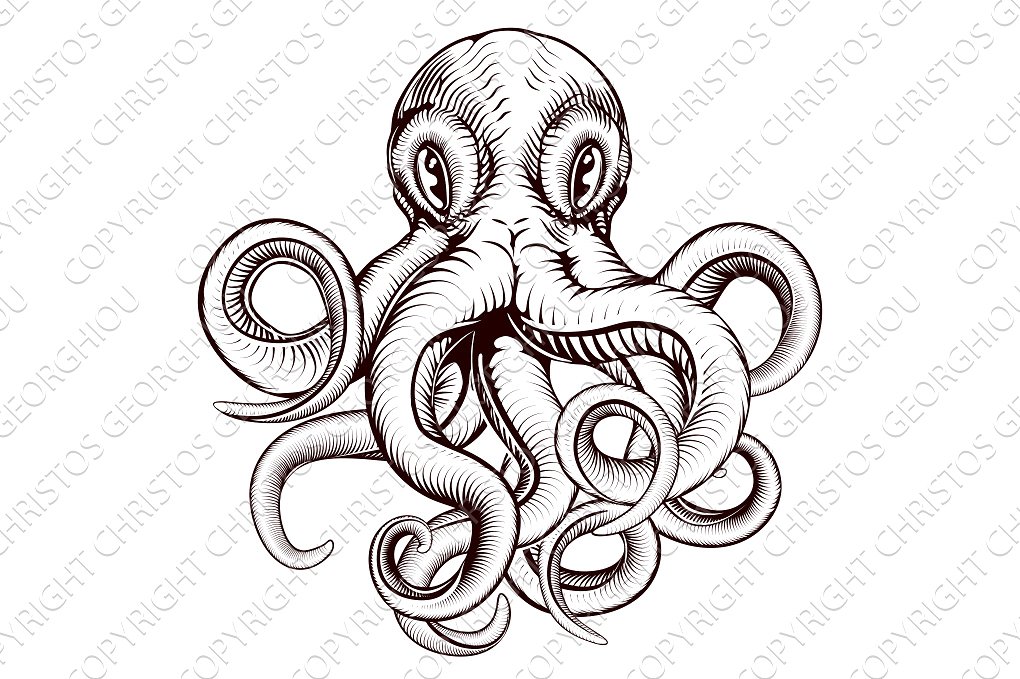 Vintage Octopus Drawing