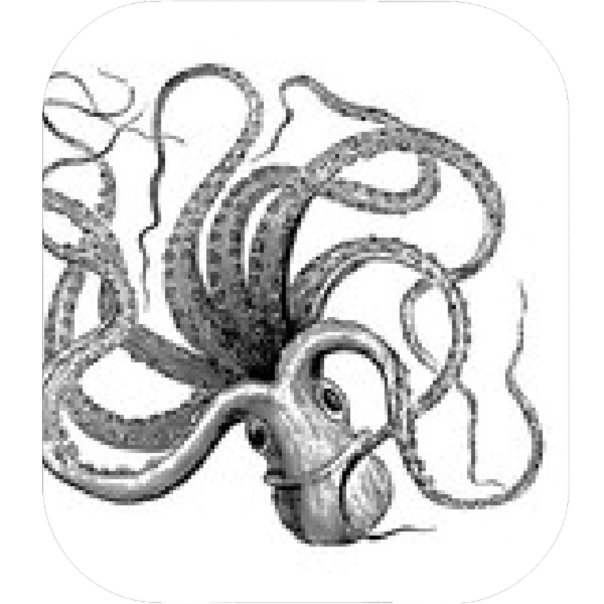 1200x1200 Designs Mein Mousepad Design Mousepad Selbst Designen