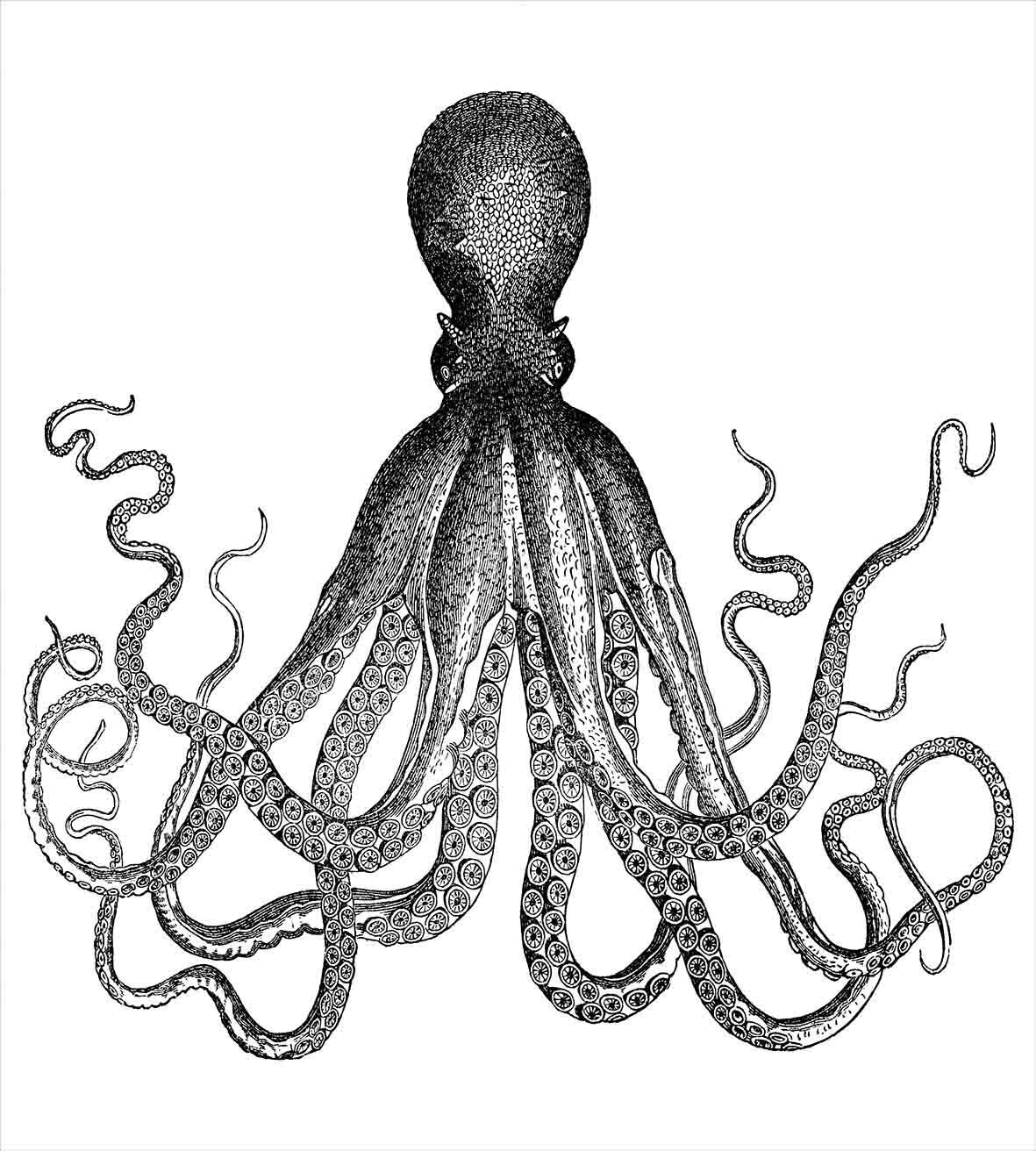 1181x1312 Nautical Decor King Size Duvet Cover Set Vintage Engraved