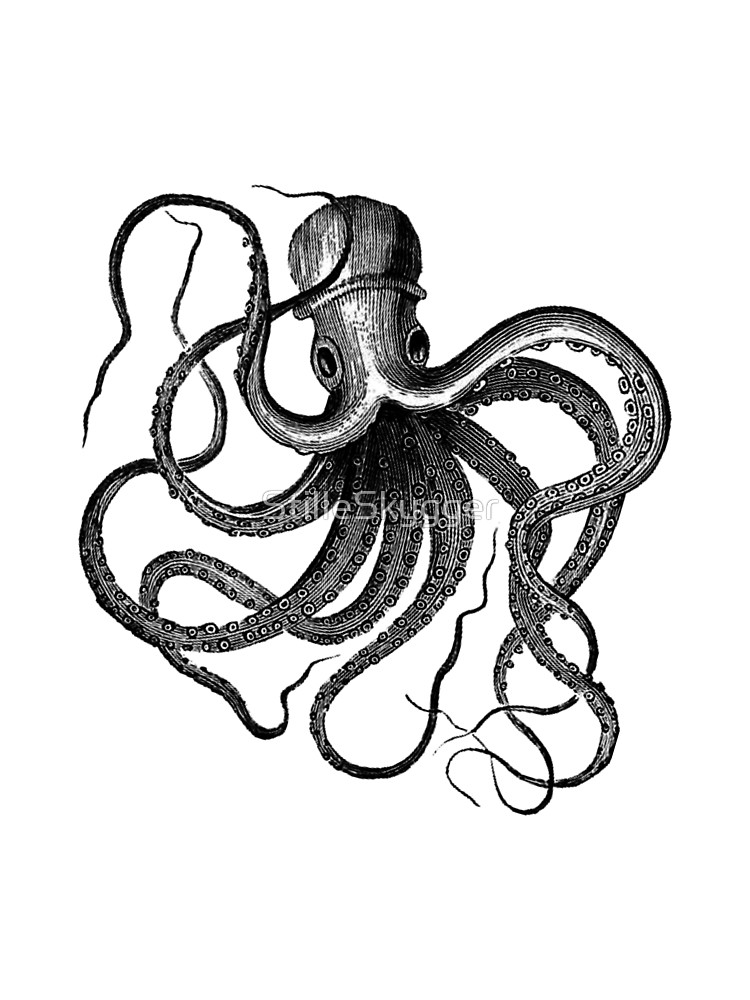 750x1000 Vintage Octopus Illustration Canvas Print