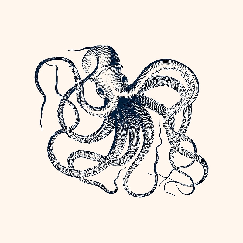 800x800 Vintage Octopus