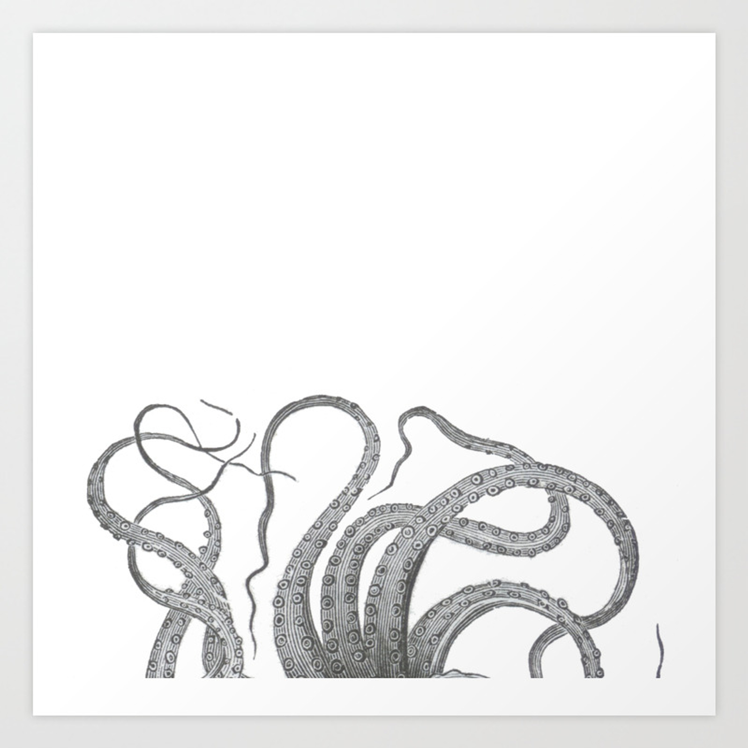 1500x1500 Vintage Kraken Octopus Tentacles Nautical Antique Sea Creature