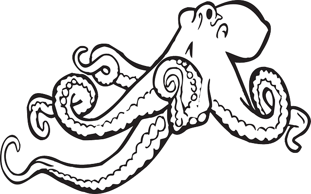 640x400 Collection Of Free Octopus Drawing Vintage Download On Ui Ex