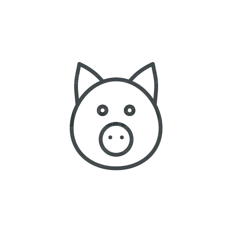 800x800 How To Draw A Pigs Head