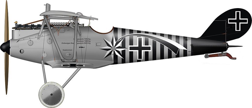1024x438 German Ace Max Holtzem's Pfalz D Iiia Fighter World War I