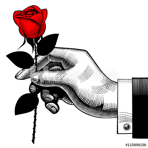 500x500 Vintage Engraving Drawing Of Hand With A Red Rose