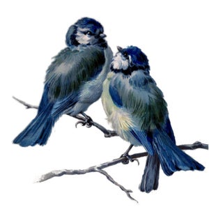 300x300 Blue Sparrow Vintage Etsy