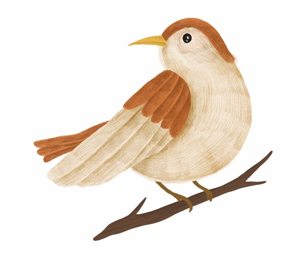 626x525 Sparrow Vectors, Photos And Free Download