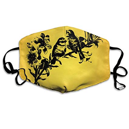 425x425 Custom Mouth Mask Vintage Birds Drawing Vector Art