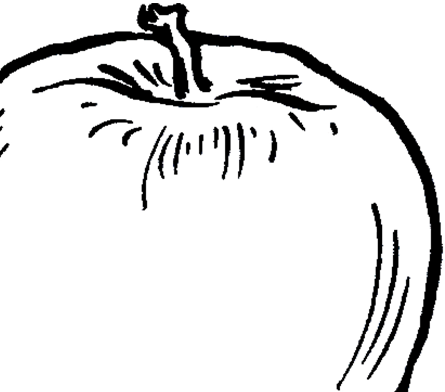 1482x1304 vintage apple line drawing thm graphicsfairy