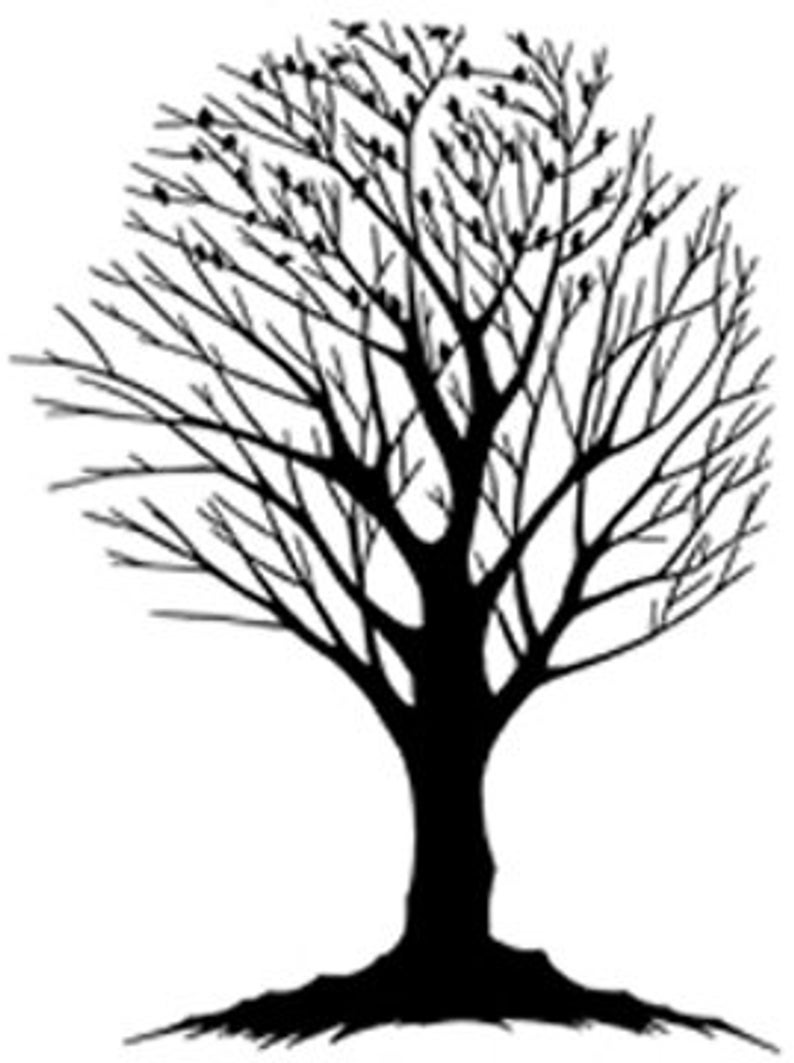 794x1063 Birds In The Tree Digital Image Vintage Art Illustration Etsy