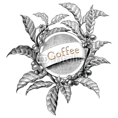 400x400 Coffee Frame Hand Drawing Vintage Engraving Illustration Logo