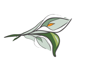 375x247 East Los Angeles Women's Center