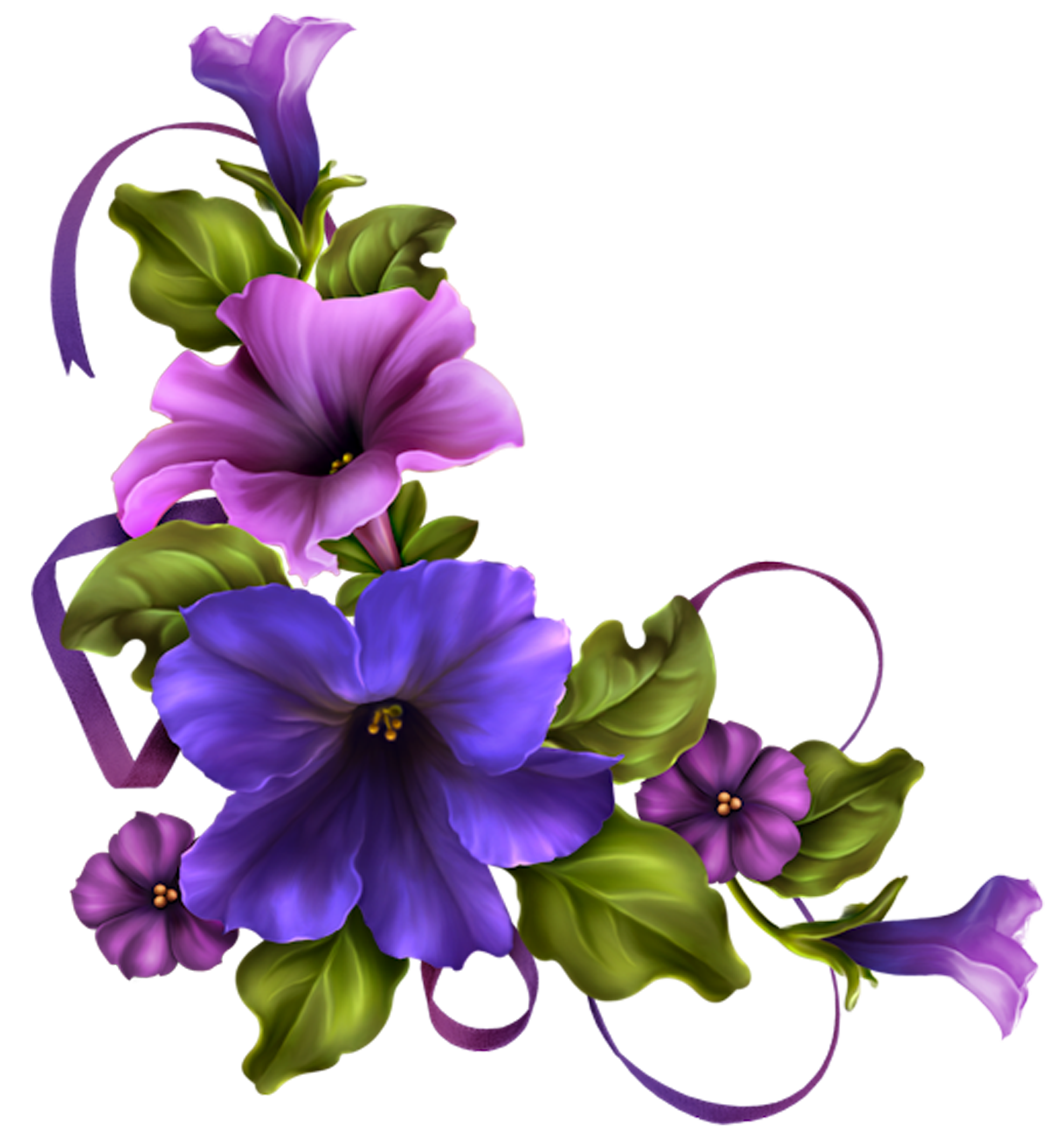 1974x2130 Delphinium Drawing Purple Transparent Png Clipart Free Download