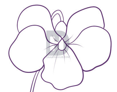 409x322 How To Draw A Violet, Step