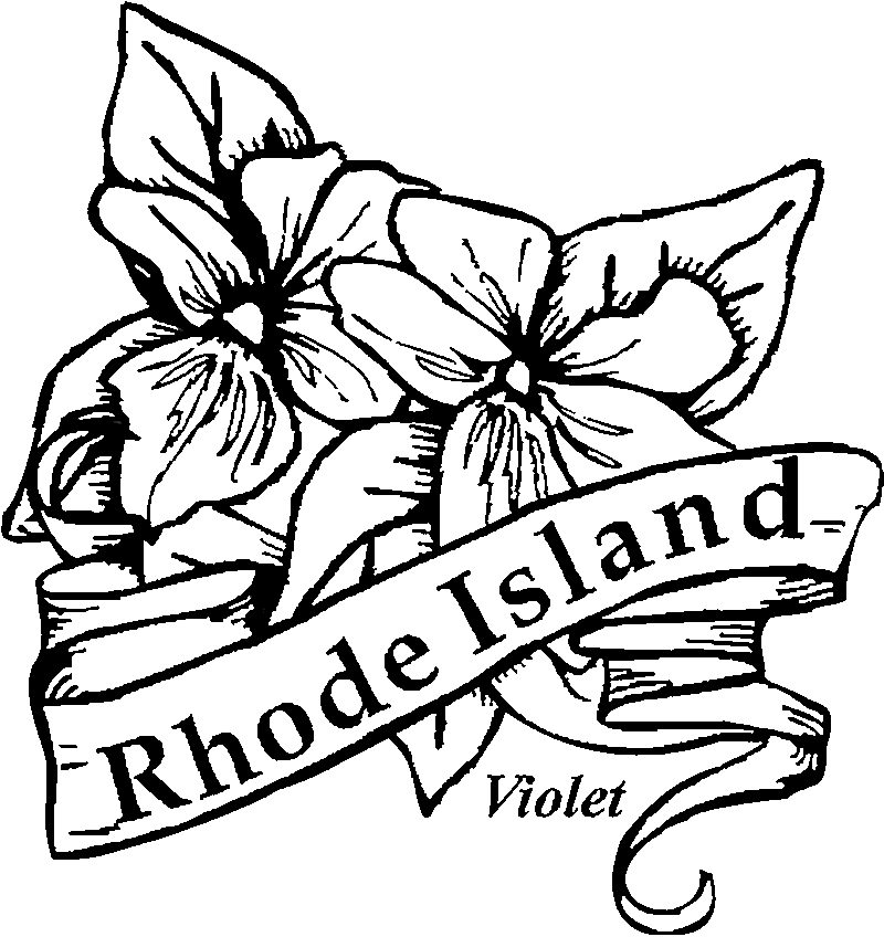 800x848 Violet Drawing Flower Rhode Island For Free Download