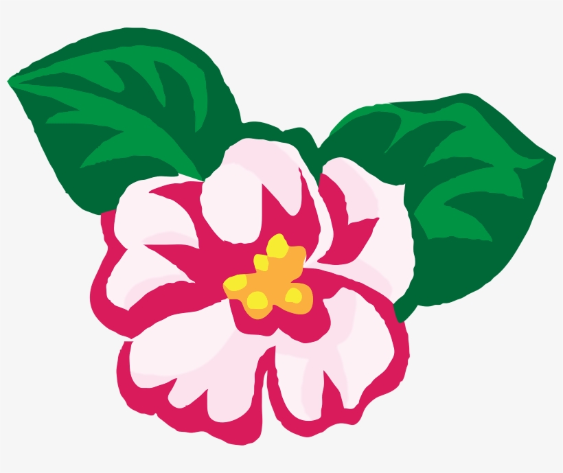 820x689 Africa Violet